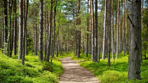 Most Beautiful National Parks in Estonia - My WordPress