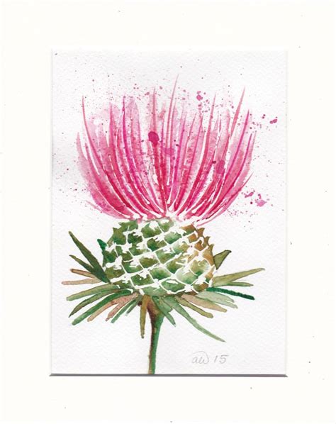 Scottish Thistle Original Watercolour Painting Etsy UK Watercolor