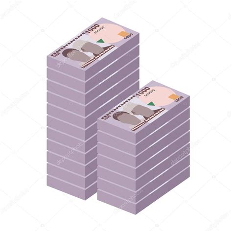 Nigerian Naira Vector Illustration Nigeria Dinero Establece Paquetes