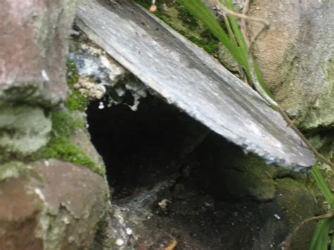 Open Rodding Eye In Sewer Diynot Forums
