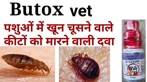 Butox Vet Ke Kya Upyog Hai Butox Vet Kis Time Use Kiya Jata Hai