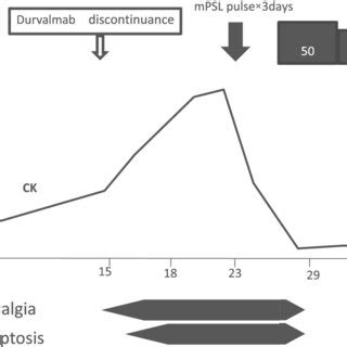 After Three Courses Of Durvalumab The Creatine Kinase Ck Level Was