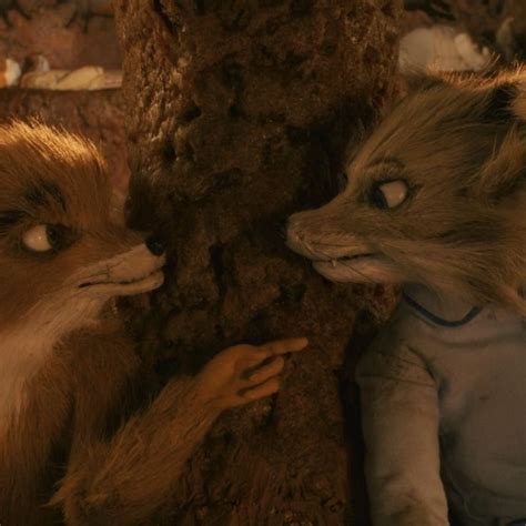 Kristofferson Ash Fantastic Mr Fox Fantastic Fox Mr Fox