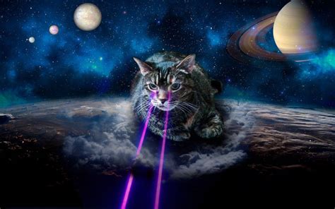 Cats in Space Wallpapers Top Những Hình Ảnh Đẹp