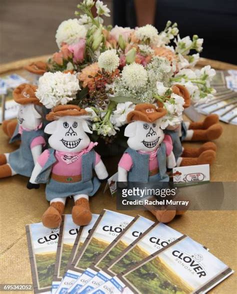 Cow Clover Photos And Premium High Res Pictures Getty Images