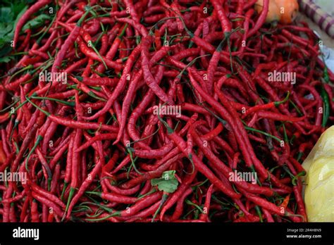 Many Red Chili Peppers Red Hot Chilli Peppers Pattern Texture Background Close Up A Backdrop
