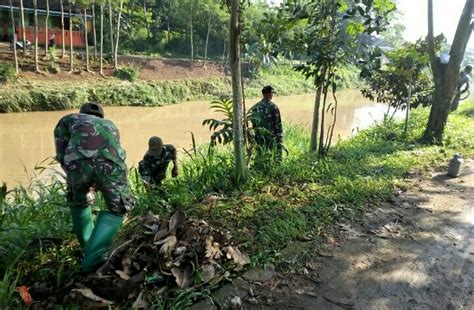 Satgas Citarum Sektor Lakukan Pemotong Rumput Di Bantaran Sungai