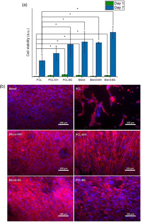 Results Of Direct Cell Test Using Human Dermal Fibroblasts Hdfs A