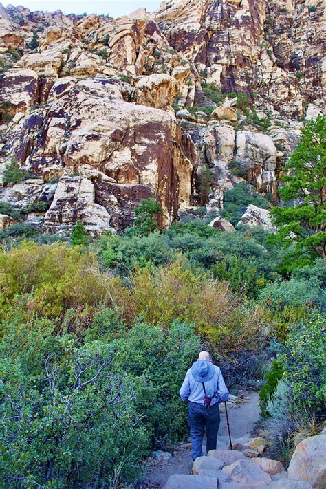 Hiking On Lost Creek Trail In Red Rock Canyon National Conservation