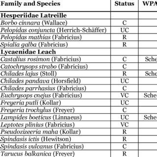 Species richness of Rhopalocera with reference to their families at ...