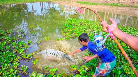 Small Single Hook Fishing In Pond Big Rohu Fishes To Catching In