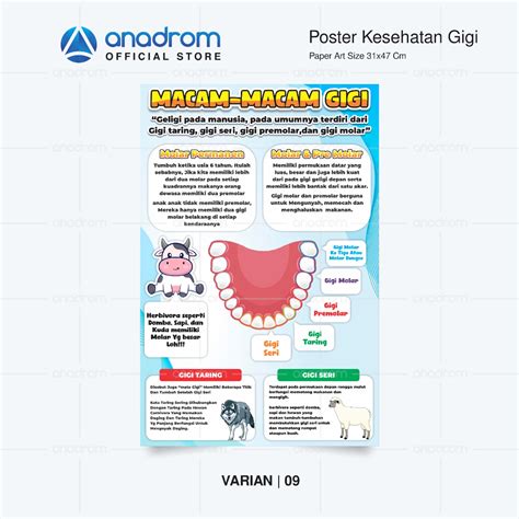 Jual Poster Kesehatan Gigi Poster Anatomi Gigi Poster Tips Penting