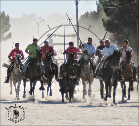 Fotografias Taurinas Hnos Rucio Encierro Campero De Nava De La