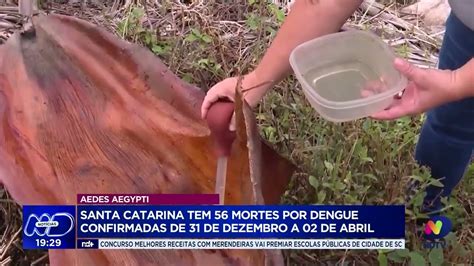 Santa Catarina registra 56 mortes por dengue desde o início do ano