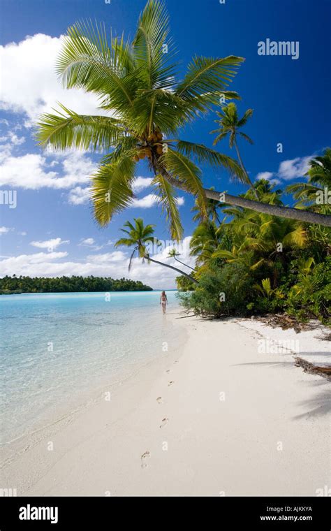 Mädchen im weißen bikini mit seestern Fotos und Bildmaterial in hoher Auflösung Alamy