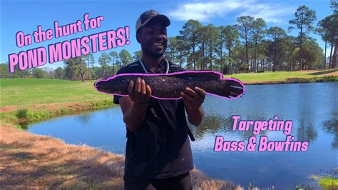 Bank Fishing For Pond Monsters Huge Bowfin Caught Youtube