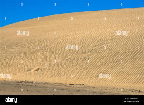 Sand Dunes At Maspalomas At Gran Canaria In Spain Stock Photo Alamy