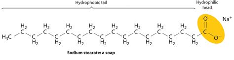 lewis structure na+