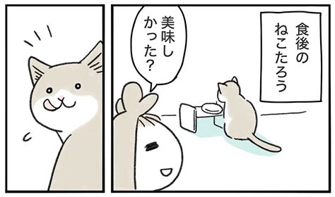 【漫画】食後の愛猫に話しかけてみた お返事に約5万人が「かわいいんだけど！？」 マグミクス