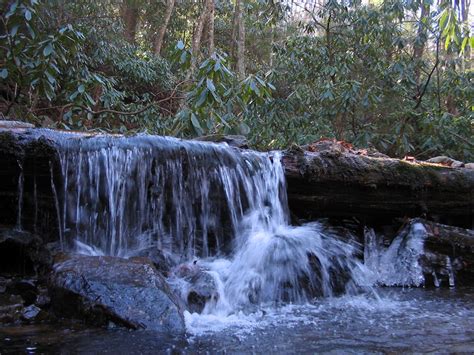 Limestone Cove To Horseback Ridge