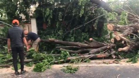 Angin Kencang Di Majalengka Pagi Ini Picu Kebakaran Lahan Dan Pohon