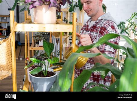 Man Waters Home Plants From Her Collection Of Rare Species From A