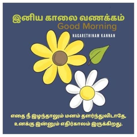 Pin By Nagarethinam Kannan On Plants Good Morning