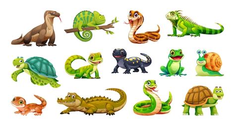 Premium Vector | Set of reptiles and amphibians including iguana chameleon and snake Vector ...