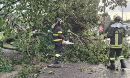 Tromba D Aria A Rho Il Resoconto Dei Danni Prima Milano Ovest