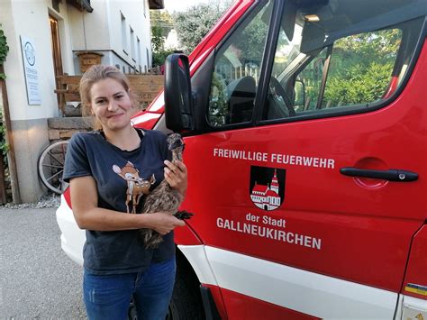 Feuerwehr Gallneukirchen F Ngt Emu Ein Bezirk Urfahr Umgebung