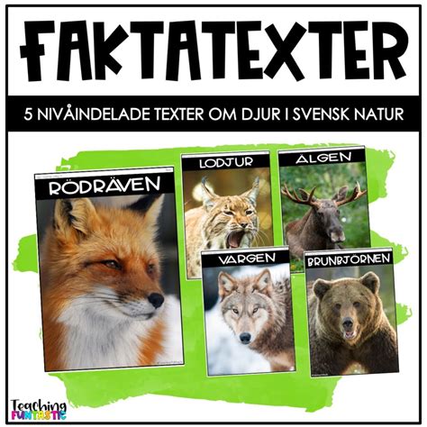 Faktatexter om djur 3 läsnivåer Teaching Funtastic