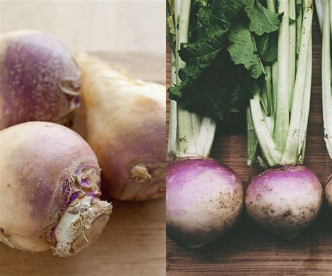 Whats The Difference Between Turnips And Rutabagas Anwered Hot Sex Picture