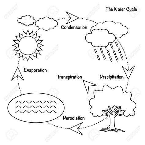 Simple Easy Water Cycle Diagram