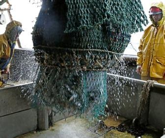 PESCA En ALTA MAR Mejores Zonas Grandes Peces EsPesca