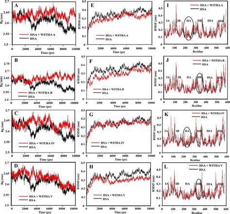 A D Time Evolution Of The Radius Of Gyration Rg During Ns Of Md