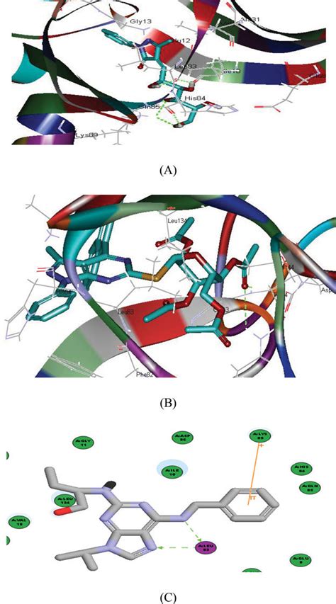 Figure The Proposed Binding Mode Of Compounds 4a A And 7a B