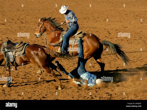 Steer Wrestling At Mt Isa Rodeo Stock Photo Alamy