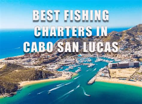 The 5 Best Fishing Charters In Cabo San Lucas Mexico Tilt Fishing