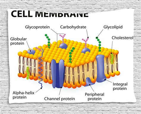 Diagram Of Molecules