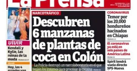 Descubren seis manzanas de plantas de coca en Colón