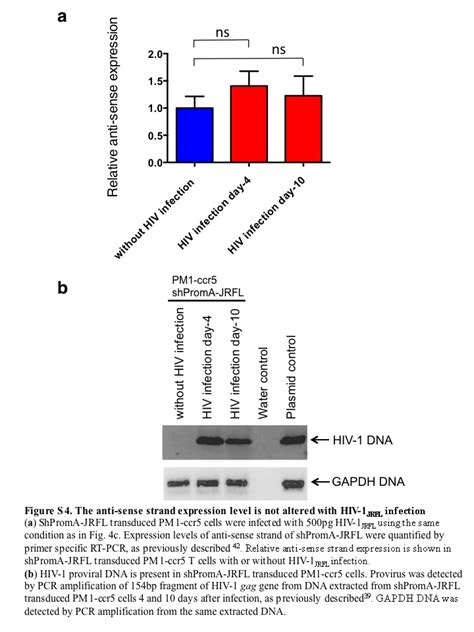 Promoter Targeting Shrna Suppresses Hiv Infection In Vivo Through