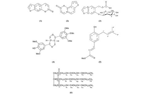 Chemical Structures Of Isolated Compounds 1 6 Download Scientific Diagram