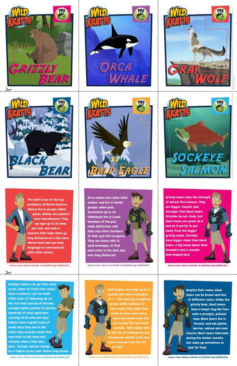 24 best Wild Kratts images on Pinterest | Wild kratts, Birthday party ...