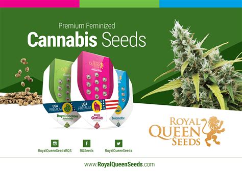 Cannabis Seed Catalogue In PDF Royal Queen Seeds