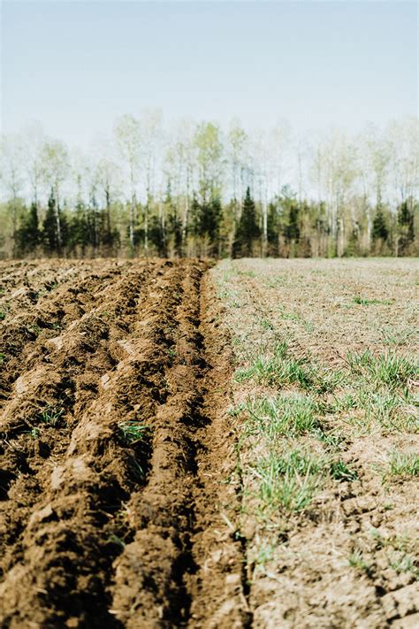 New St Francis Herb Farm Facility Opens Fall 2021 In Ottawa Valley