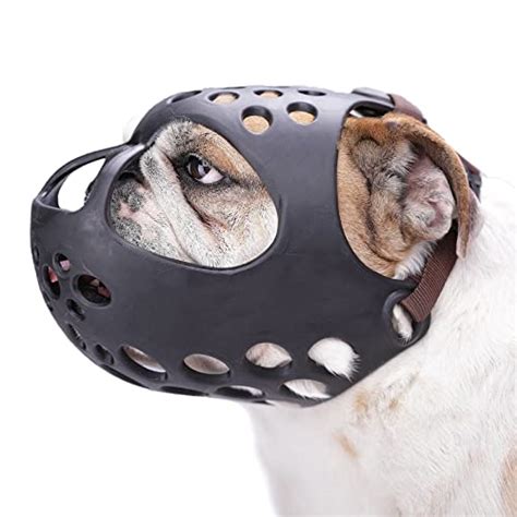 Best Dog Muzzles For Short Snouted Breeds Counter Current Festival