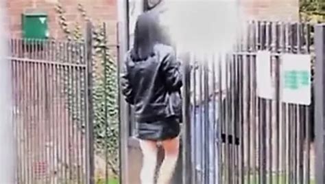 Donna Marie Porn Videos Porn Star Sex Scenes Xhamster