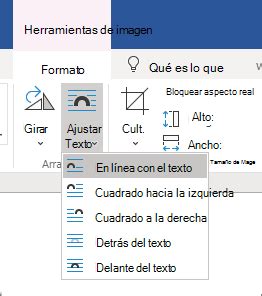 Ajustar texto alrededor de una imagen en Word (2022)