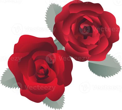 rose flower border 16384117 PNG