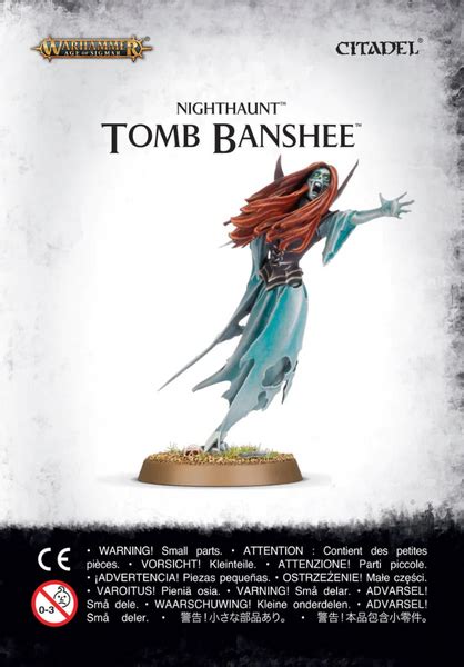 Ігровий набір GW Age of Sigmar Nighthaunt Tomb Banshee купити за